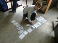 Groepswerk Wolfje Nathan
